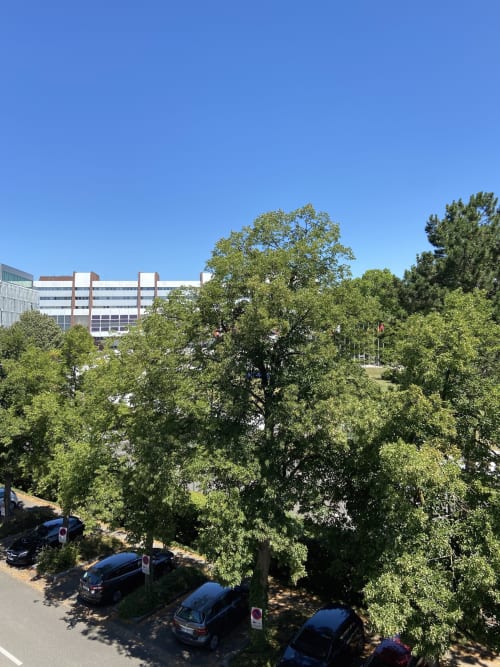 rental strasbourg - view from the terrace - orangery park
