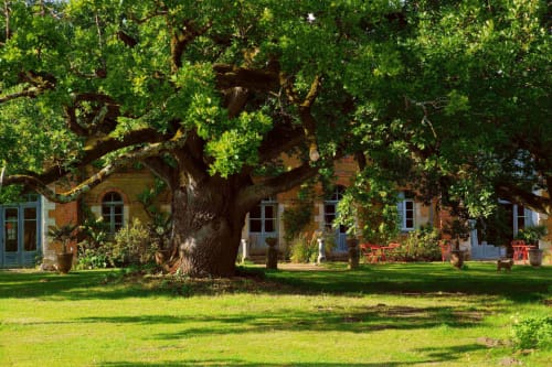 gite le chene centenaire chateau chambiers zip