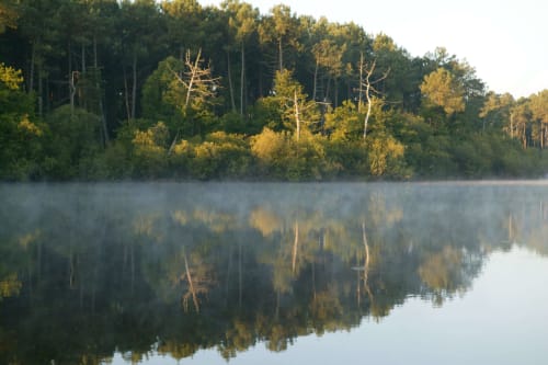 foret-chambiers-etang-printemps-ete-peche-promenade-randonnee-zip