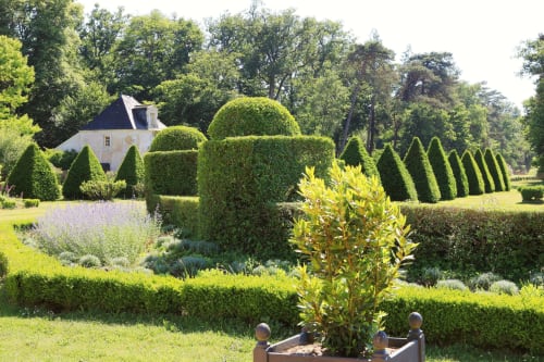 jardin-parc-pavillon-de-france-suite-printemps-nature-zip