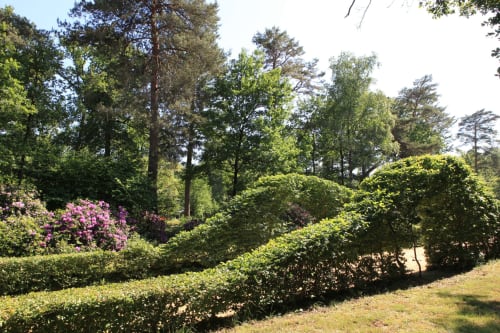 chateau-chambiers-parc-jardin-printemps-zip