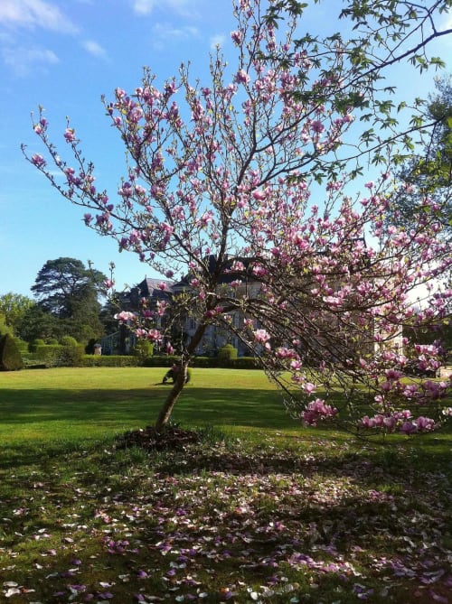 jardin-parc-pavillon-de-france-suite-printemps-nature-zip