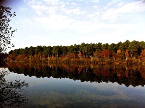 foret-chambiers-etang-automne-ete-peche-promenade-randonnee-zip
