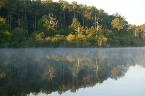 foret-chambiers-etang-lever-du-jour-ete-peche-promenade-randonnee-zip