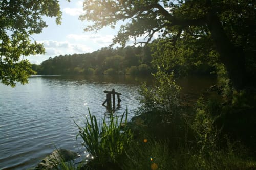 foret-chambiers-etang-printemps-ete-peche-promenade-randonnee-zip