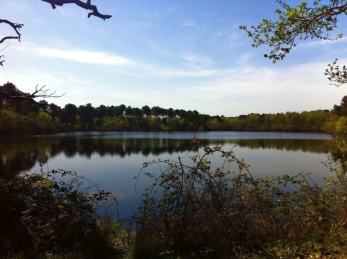 foret-chambiers-etang-printemps-ete-peche-promenade-randonnee