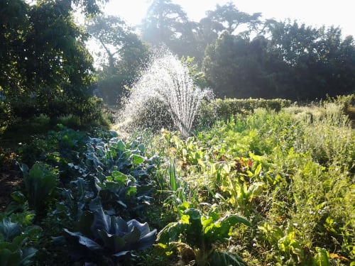 potager-jardin-aromatique-parc-ete-printemps-chateau-chambiers-zip