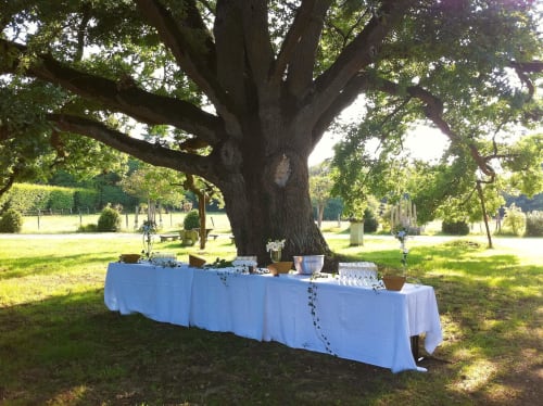 atelier-dartistes-salle-reception-mariage-seminaire-jardin-chene-centenaire-anjou-chateau-chambiers-zip