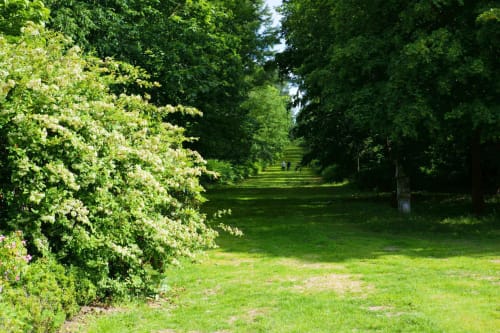 percee-jardin-foret-chateau-chambiers-promenade-balade-grands-esaces-zip
