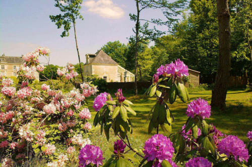 parc-fleuri-pavillon-de-france-suite-chateau-chambiers-zip