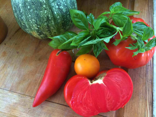 legume-potager-frais-saison-chateau-chambiers-zip
