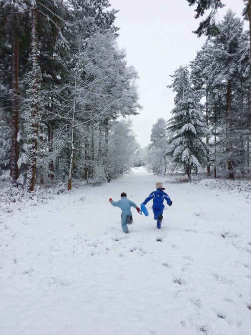 balade-neige-promenade-enfants-foret-chateau-chambiers-activite-zip