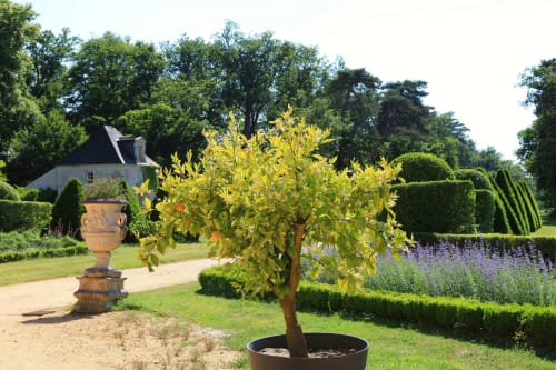 pavillon-de-france-mandarine-printemps-zip
