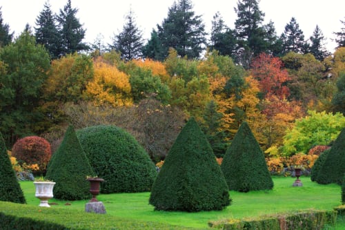 parc-jardin-automne-couleurs-chateau-chambiers-zip