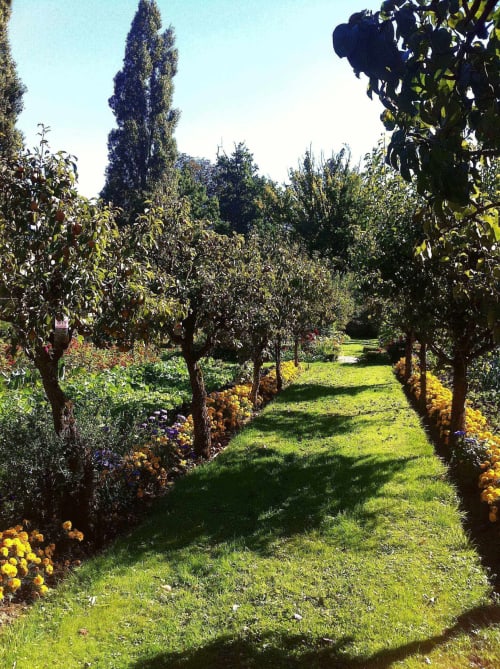 activité-chateau-chambiers-anjou-jardin-fleurs-printemps-zip