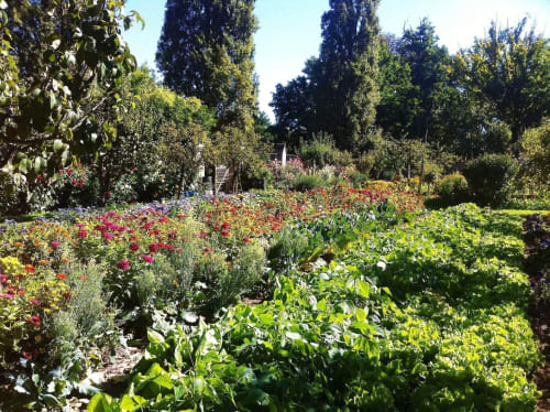 activité-chateau-chambiers-anjou-jardin-fleurs-printemps-zip