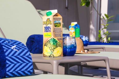 Quoi de mieux que de se détendre au bord de la piscine, sur les transats et autour d'une boisson désaltérante. Venez gouter aux plaisirs de la vie caribéenne à la Villa "La Belle Négresse".
