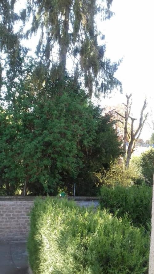 location appartement epinal au calme, gîtes le jardinier