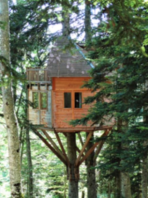 Nuits de Cimes - cabane à l'intérieur de la forêt