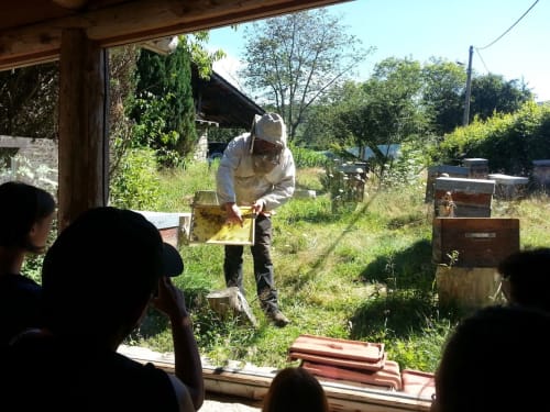 Apiculteur passionné, à la cité de l’abeille à viscomtat, vous saurez tout sur cette petite bête, un régal pour les enfants et les adultes, une découverte à faire lors de votre week-end en famille au Moulin de la Fortie.