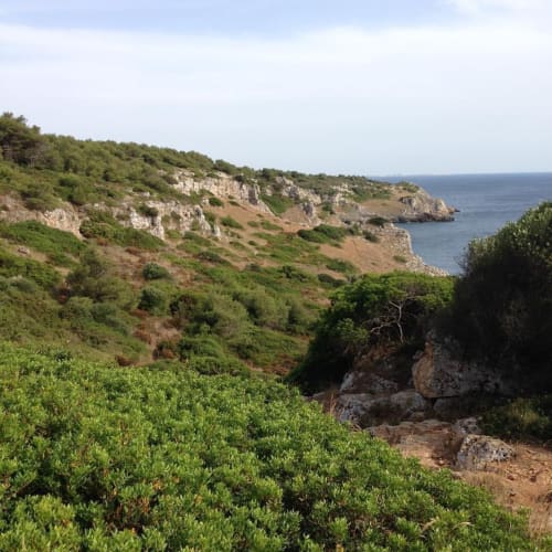 B&B Don Alessandro - camere con piscina a Surbo, Lecce, Salento, Mare, Relax, Arte, Gastronomia