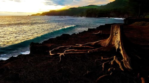 Balade au coucher de soleil