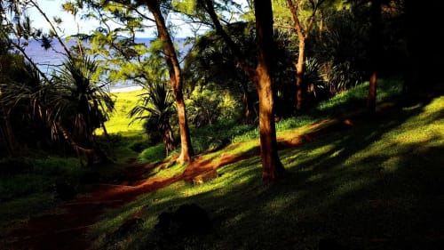 La montée au Piton Babet