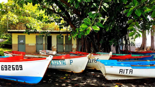 Le port de Saint-Leu