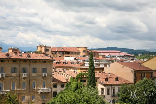 Panoramic view from the terrace of our B&B - Bed Breakfast Ariel B&B - Rooms in Verona Center