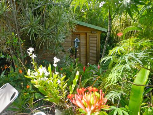 gîte avec jardin tropical à deshaies, basse terre guadeloupe, colibris