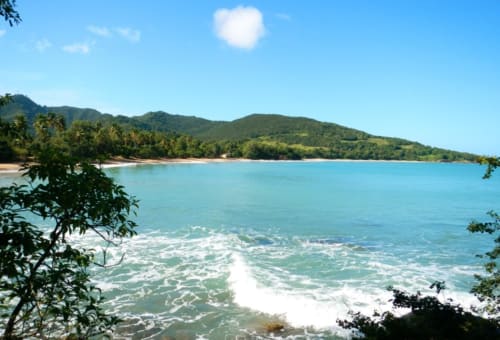 plage basse terre