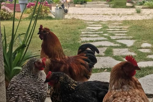 Les Chambres du Mad - Vacances près de Morlaix dans le Finistère