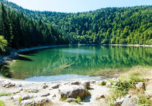 Lac des corbeaux,  Lac de Gérardmer et de Xonrupt-Longemer