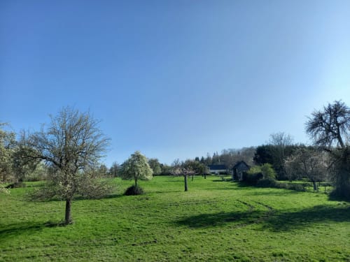 Grand jardin - Maison d'hôtes - Les Lys