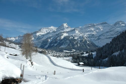 Panorama montagneux depuis l’Hotel du Pillon, avec vue dégagée sur les sommets alpins et le Glacier 3000.