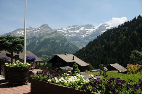 Panorama estival depuis l’Hotel du Pillon, avec vue dégagée sur les sommets alpins, prairies verdoyantes et Glacier 3000 au loin.