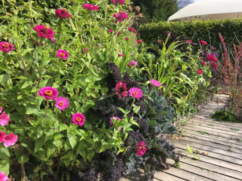 Jardin des cimes de Passy