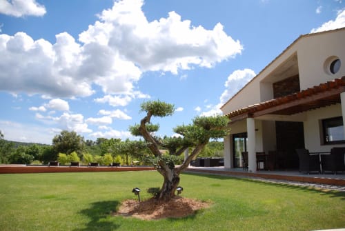 Jardin, bulle de sérénité en Provence Verte, Villa Otilia