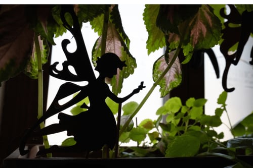 El Pontifical -  Los Santos de la Humosa (Madrid)