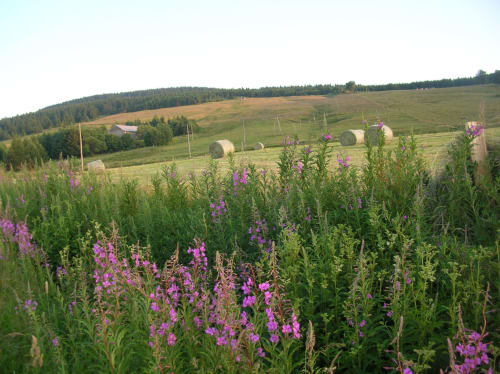 Maison d'hôtes à la campagne Mezenc Haute-loire Estables Nature calme 