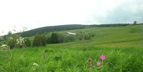 Maison d'hôtes à la montagne