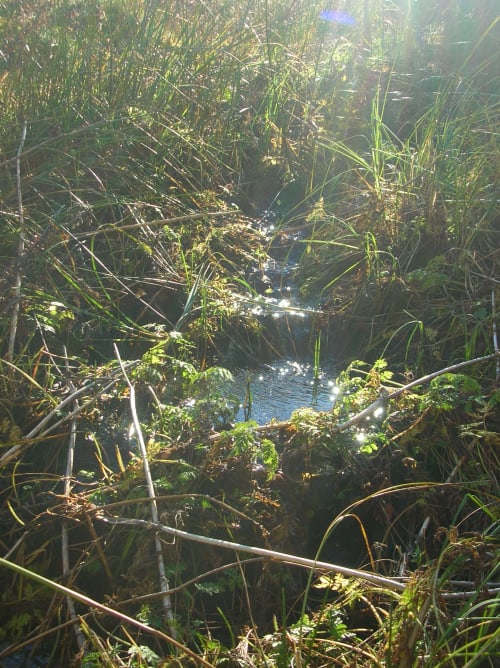 Ruisseau - Saint-Front