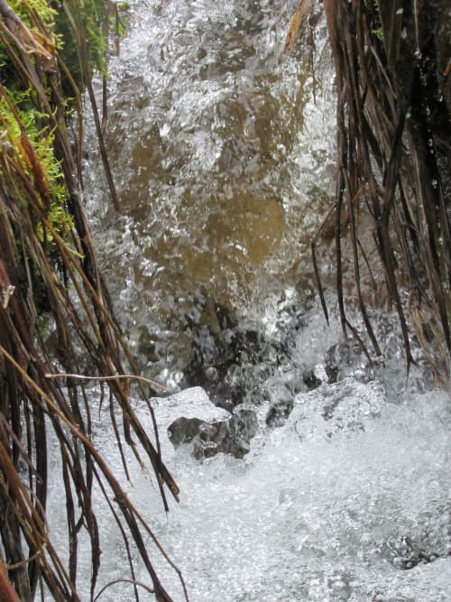 Photo de la nature - Saint-Front