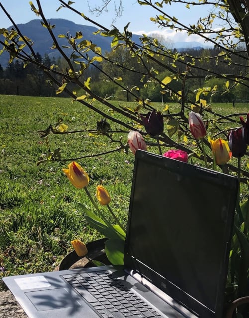 lepasdemoineau-accueil-télétravail-professionnel