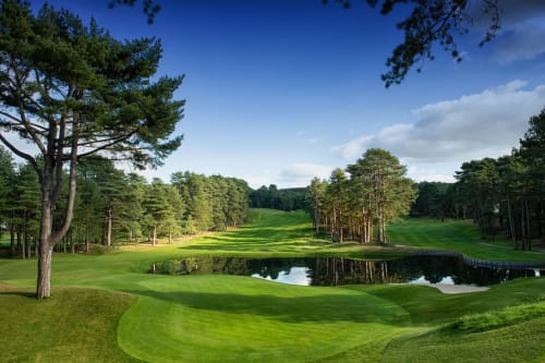 terrain de golf - Golfs d'Hardelot - villa marie