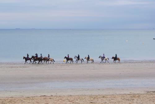 equitation cote d'opale - villa marie
