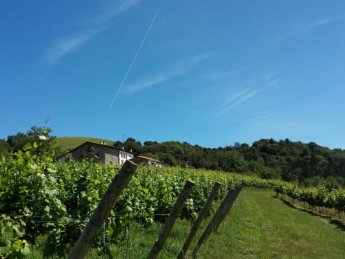 Agroturismo Erlete Goikoa -  Deba, Pais Vasco