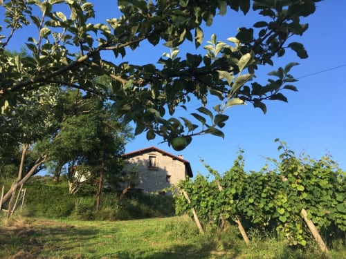 Farmhouse Erlete Goikoa - Deba, Pais Vasco