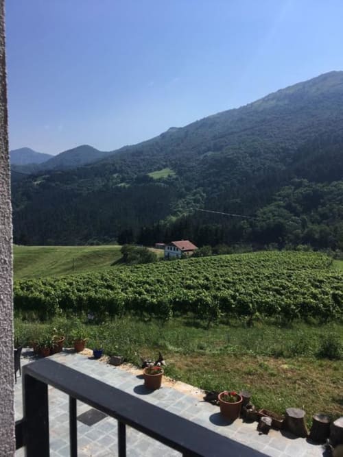 Farmhouse Erlete Goikoa - Deba, Pais Vasco