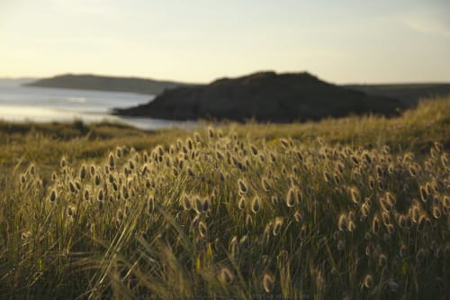 landes pointe du raz